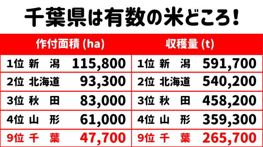 家庭科の授業と連携した「学べる粒すけ授業」を実施　松戸市の小学校で「粒すけ」炊飯体験　開発者による講話も