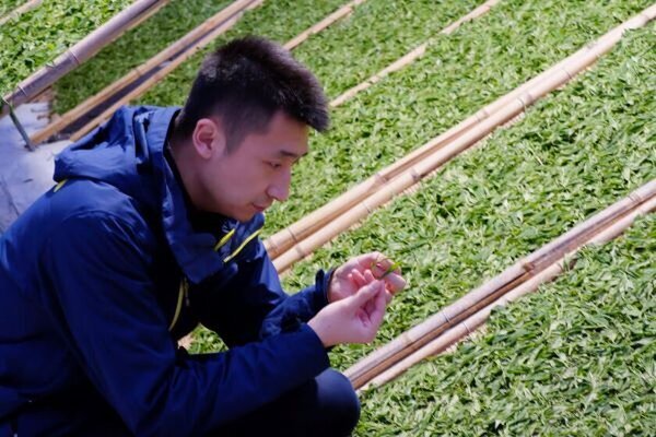 中国茶文化学者、日本中国茶研究所所長 楊多傑氏のインタビュー記事を『人民日報海外版日本月刊』にて公開