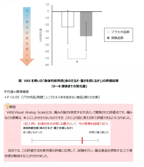 富士産業、新規ヘルスクレームの機能性表示食品「発酵にんにく疲労感ケアb」が消費者庁に受理