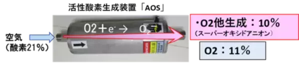 琵琶湖発の活性酸素処理で低コスト・短時間で完熟堆肥化　世界のホテイアオイやサルガッサムの繁殖問題にWEF技術開発が挑む