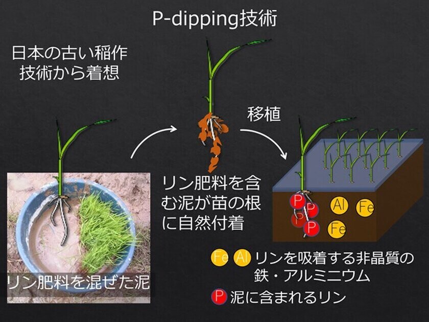 136の研究機関等が出展、農林水産・食品分野の最新技術が集結する「アグリビジネス創出フェア2024」の出展者情報を公開！　11月26日(火)～128日(木)　東京ビッグサイト 南2ホールにて開催