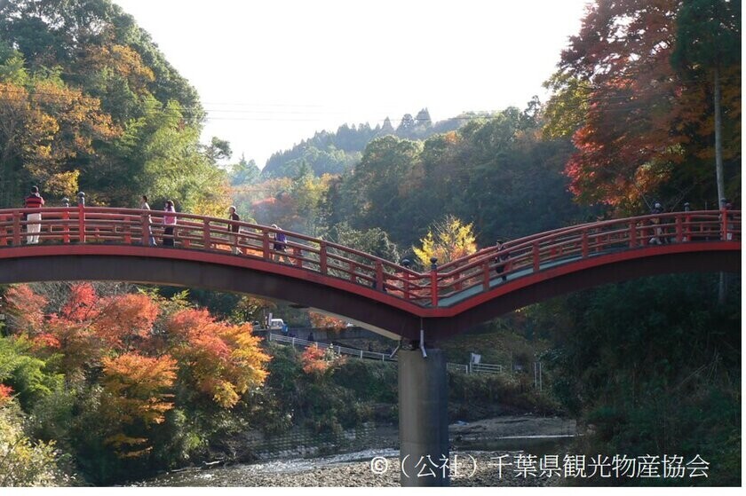 東京から90分の非日常体験　晩秋の房総半島の紅葉とヒーリングスポットをご紹介！