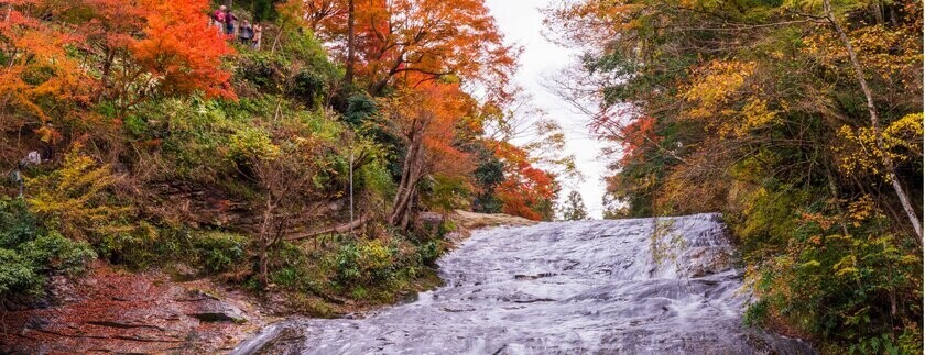 東京から90分の非日常体験　晩秋の房総半島の紅葉とヒーリングスポットをご紹介！