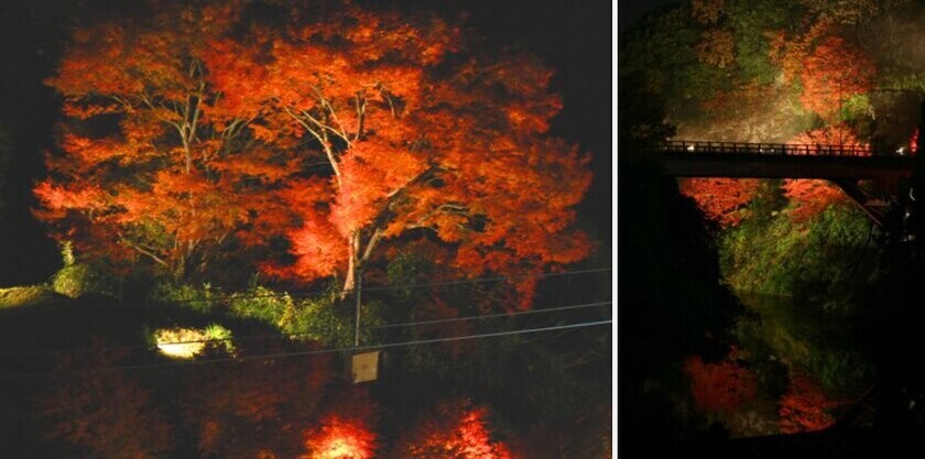 東京から90分の非日常体験　晩秋の房総半島の紅葉とヒーリングスポットをご紹介！