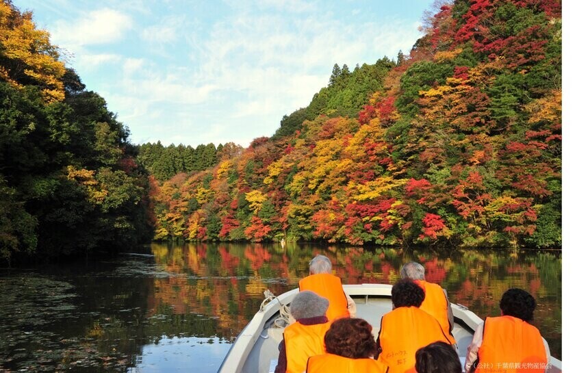 東京から90分の非日常体験　晩秋の房総半島の紅葉とヒーリングスポットをご紹介！