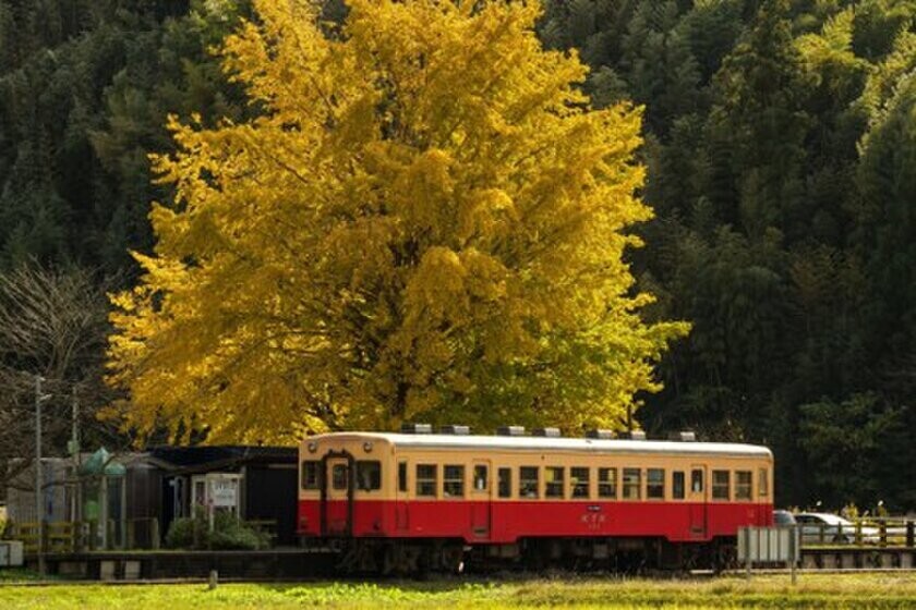 東京から90分の非日常体験　晩秋の房総半島の紅葉とヒーリングスポットをご紹介！