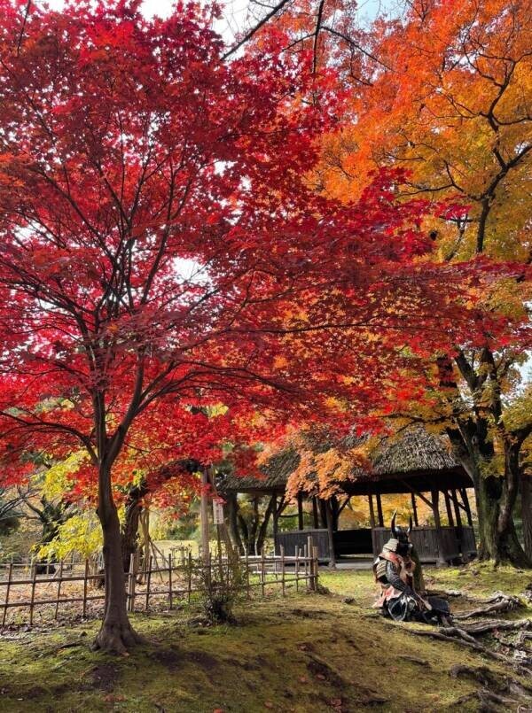 長野県小諸市、11月中旬頃紅葉が見頃に