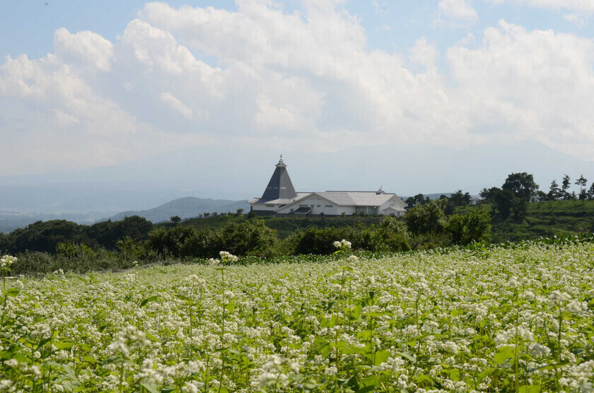 長野県小諸市、11月中旬頃紅葉が見頃に