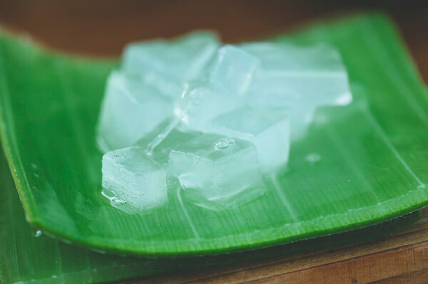 初冬の絶景！伊豆白浜アロエの里で開催の「第40回 アロエの花まつり」　12/8(日)謝恩イベントで「アロエねばねば体験」デモンストレーションを実施