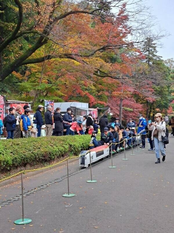 幻想的な雲海と紅葉ライトアップ　町田薬師池公園四季彩の杜　紅葉まつり開催中