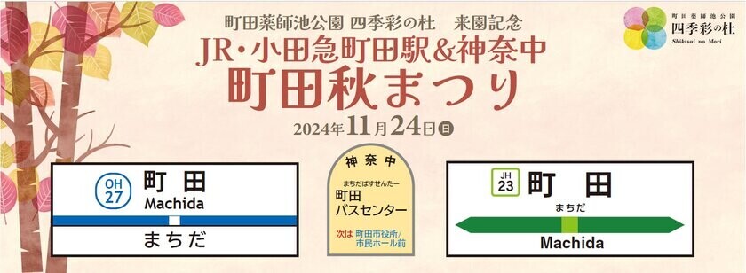 幻想的な雲海と紅葉ライトアップ　町田薬師池公園四季彩の杜　紅葉まつり開催中