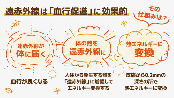 F's WISH【電気を使わないから安心】愛犬の健康を守る遠赤外線機能性ウェア「テラペット ぬくぬくウエア」新発売