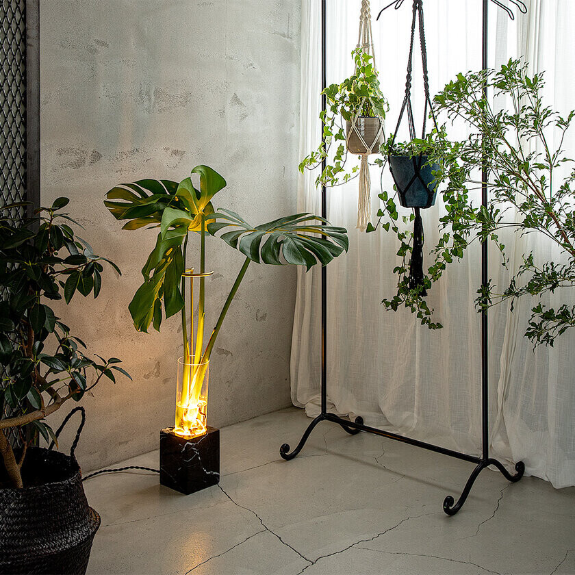 植物と光を組み合わせアートを生み出すフロアランプ「LUMINASTONE FLOOR LAMP」を11月18日から販売