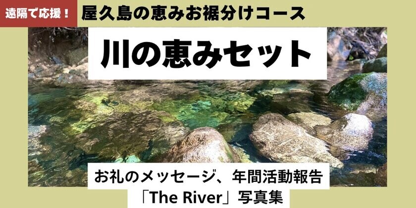 屋久島発のウェルネスツーリズム「川点(かわだて)」のインバウンド展開に向け、クラウドファンディングを実施！～川で抹茶を点て、自然との繋がりを思い出す新体験～