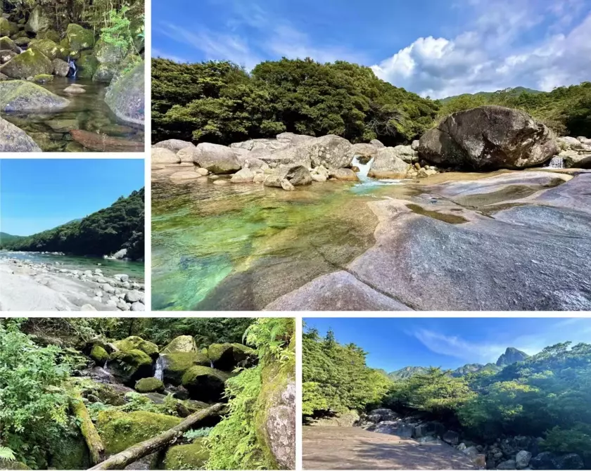 屋久島発のウェルネスツーリズム「川点(かわだて)」のインバウンド展開に向け、クラウドファンディングを実施！～川で抹茶を点て、自然との繋がりを思い出す新体験～