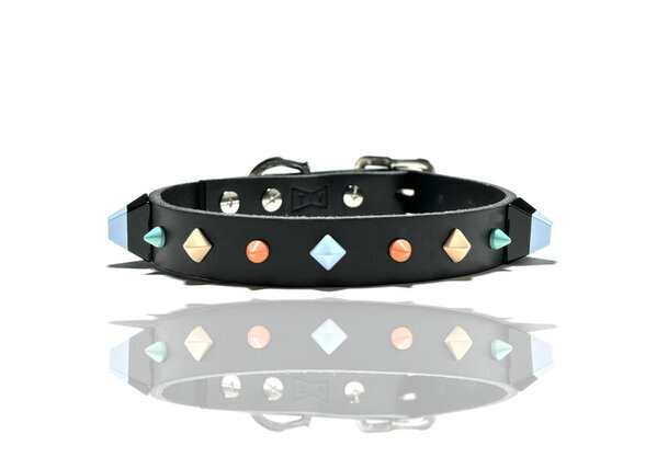 愛犬&愛猫との暮らしを豊かにするブランドTIVO&TITOがダイアローグス・マーケット2024 / Winterに出店