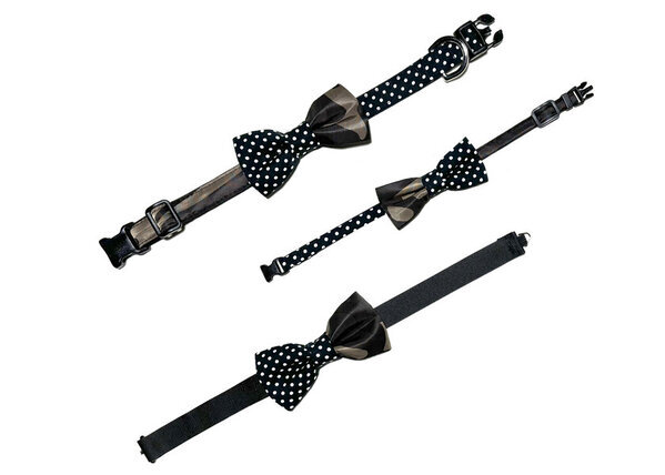 愛犬&愛猫との暮らしを豊かにするブランドTIVO&TITOがダイアローグス・マーケット2024 / Winterに出店