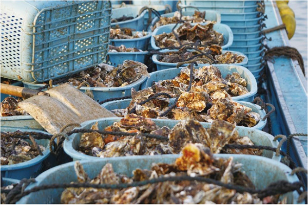 グルメ旅行で行ってみたい都道府県ランキング！～2位は福岡、1位はどこ？阪急交通社がアンケート結果を公開～