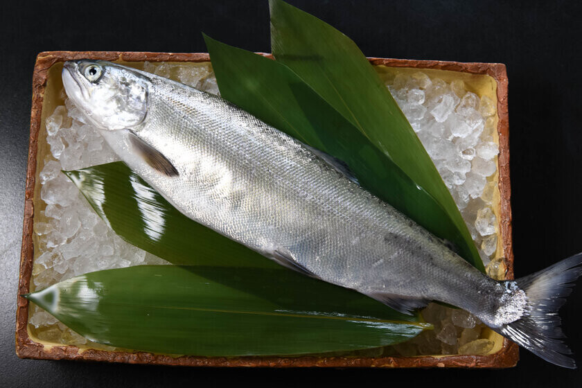 滋賀・長浜の朝日漁業会館にて、イベント「初冬のグルメ～旬の魚を味わう」を12月8日(日)に開催！