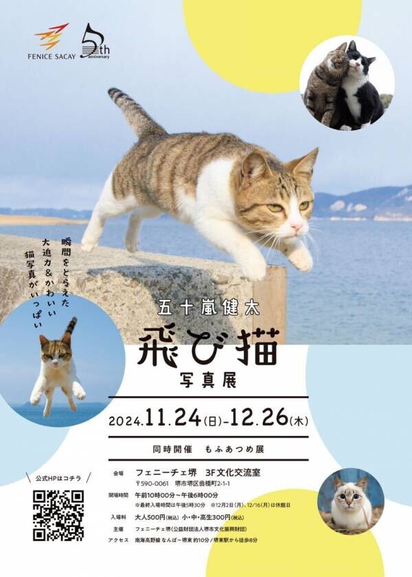 「五十嵐健太　飛び猫写真展　同時開催　もふあつめ展」フェニーチェ堺で開幕！