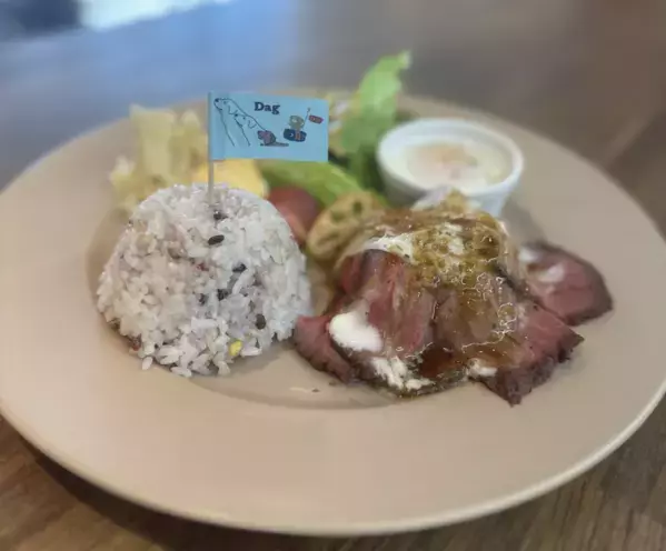 障がいのある方が働きやすく、人も犬ものびのび楽しめるドッグカフェ「Dag」(岐阜県各務原市)が11月29日でオープン1周年！