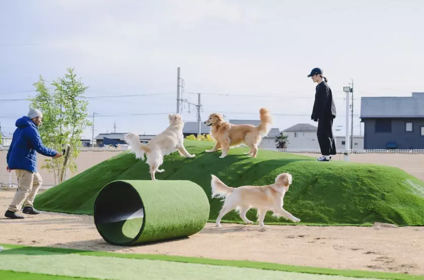 障がいのある方が働きやすく、人も犬ものびのび楽しめるドッグカフェ「Dag」(岐阜県各務原市)が11月29日でオープン1周年！