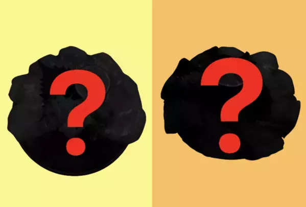 問われる真の素材力。海鮮丼の代表を決める闘い「第1回海鮮総選挙」を12月2日～12月15日の14日間開催！