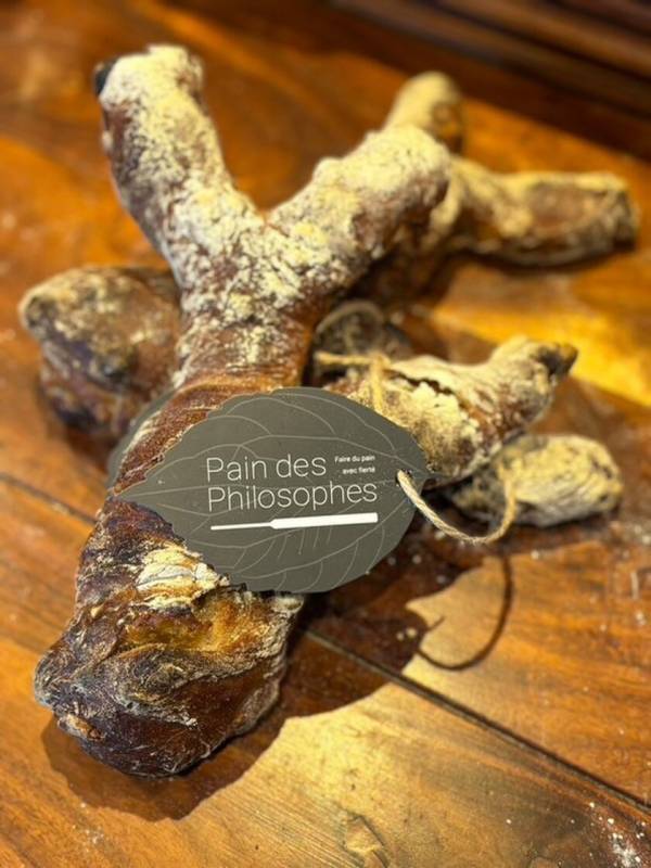 今年はインフルエンサー部門も設立！2024年も鈴木保奈美さんを特別審査員にお迎えし、くるみパン オブ・ザ・イヤーのNo.1が決定！株式会社タカキベーカリー「石窯くるみパン」　　Boule Beurre Boulangerie「ピカンテ」　Pain des Philosophes「ポミエ」