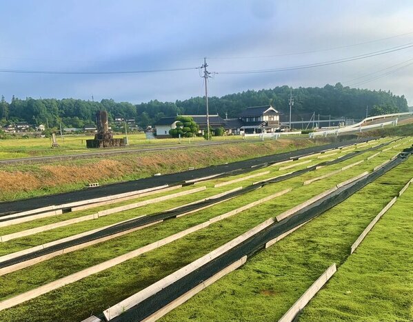 環境配慮型緑化ソリューションの新提案