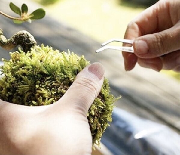 環境配慮型緑化ソリューションの新提案