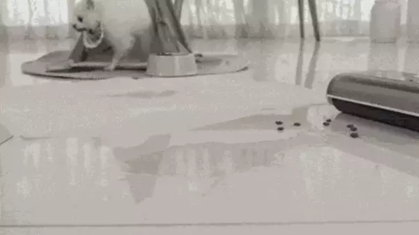 水跡も残さない密着力|ホコリも液体も一度に吸い上げるオールインワン掃除機「Aquasweep」Makuakeにて目標金額1,000％を達成