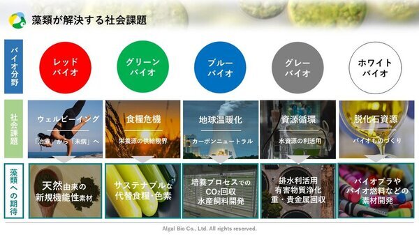 アルガルバイオが日経クロストレンド「未来の市場をつくる100社」の「SDGs・ESG分野」にて25年に飛躍する企業に選出