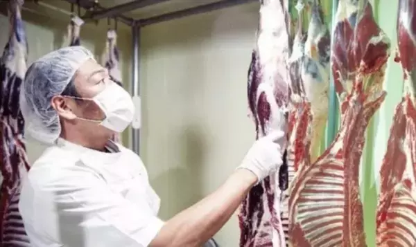 エゾシカの肉と革のイベント「狩ル鞣ス、食ベル纏ウ。vol.2」(カルナメス、タベルマトウ)　代官山スペースRで12月7日(土)開催