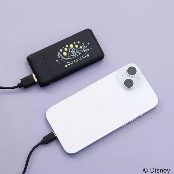 エイブル対象店舗へご来店いただいたお客様対象！先着合計2万名様に映画『トイ・ストーリー』公開30周年記念のエイブルオリジナルデザイングッズをプレゼント！