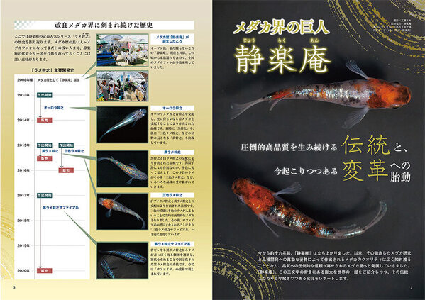 今、メダカ界が熱い！初心者からプロまで楽しめる情報誌『メダカFriend』が発売！