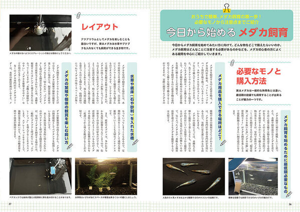 今、メダカ界が熱い！初心者からプロまで楽しめる情報誌『メダカFriend』が発売！
