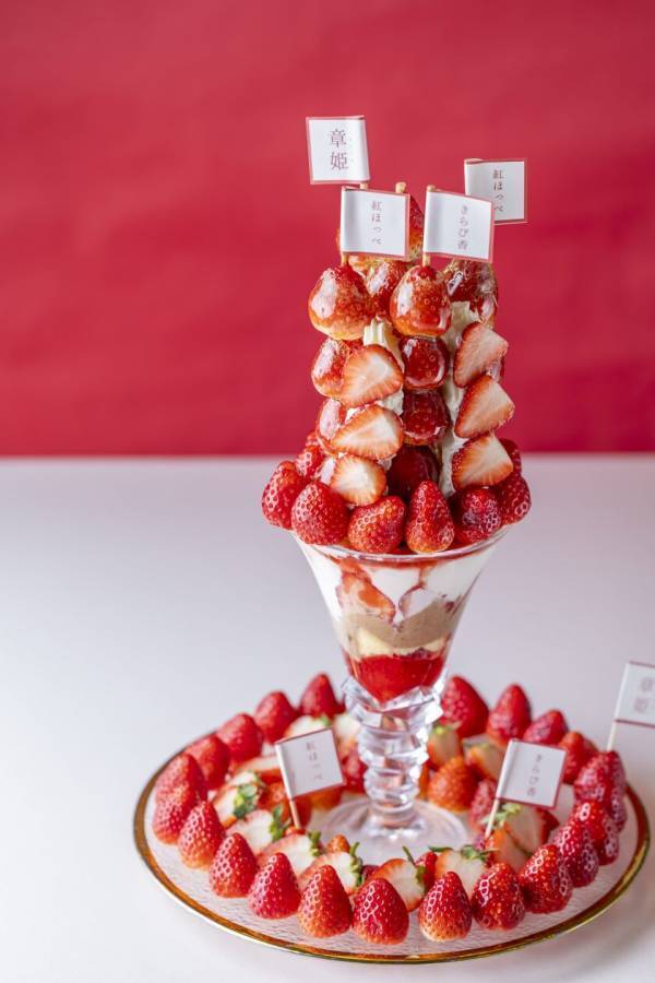 ＜いちごBonBonBERRY ATAMI HOUSE.＞累計販売数17万本のいちご飴がパフェに！「100粒いちごあめパフェ」が12/13(金)より新発売