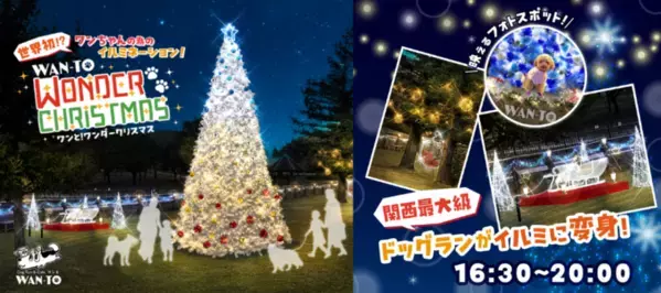 世界初？！ワンちゃんの為のクリスマスイルミネーションイベント「ワンと！ワンダークリスマス」を12/20(金)～25(水)まで、とんぼ池公園(大阪府岸田和市)で開催！