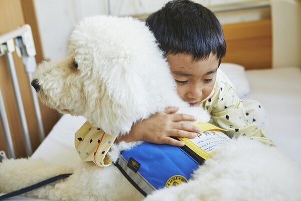 日本介助犬協会が12月31日(火)23時59分まで　「ふるさと納税を活用したクラウドファンディング」を実施　～募集期間終了まで残りわずか～