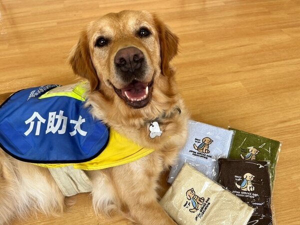 日本介助犬協会が12月31日(火)23時59分まで　「ふるさと納税を活用したクラウドファンディング」を実施　～募集期間終了まで残りわずか～