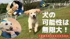 日本介助犬協会が12月31日(火)23時59分まで　「ふるさと納税を活用したクラウドファンディング」を実施　～募集期間終了まで残りわずか～