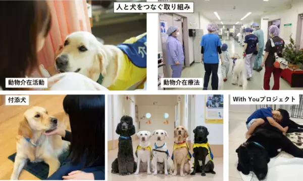 日本介助犬協会が12月31日(火)23時59分まで　「ふるさと納税を活用したクラウドファンディング」を実施　～募集期間終了まで残りわずか～