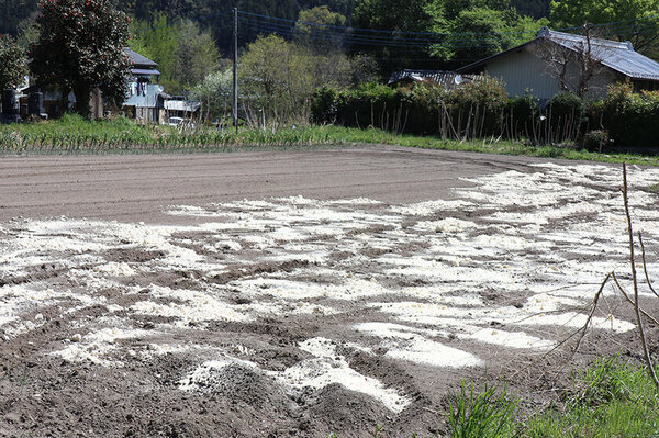 味噌・醤油・豆腐などの伝統食品を製造・販売するヤマキ醸造　第12回環境省グッドライフアワードにおいて環境大臣賞 最優秀賞を受賞