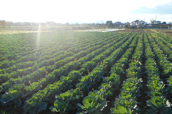 味噌・醤油・豆腐などの伝統食品を製造・販売するヤマキ醸造　第12回環境省グッドライフアワードにおいて環境大臣賞 最優秀賞を受賞