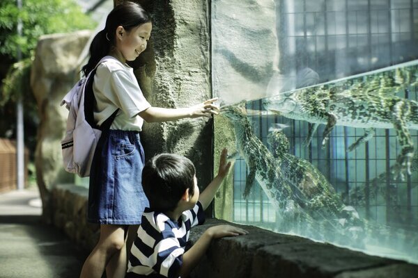 熱川バナナワニ園の可愛いすぎる人気スイーツ「大福ワニ」がフィギュアになって12/28より全国タイトーステーションに登場！