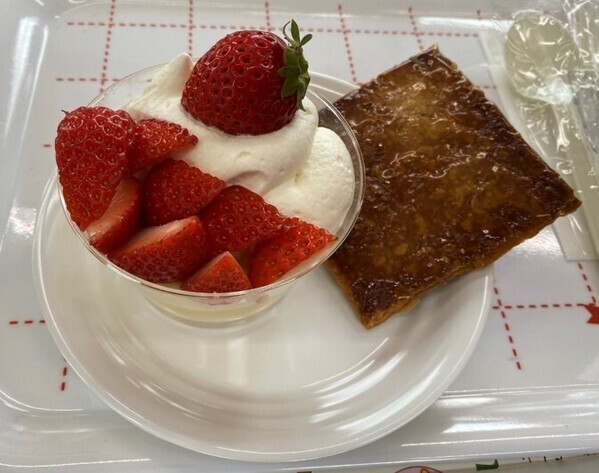 『新春！甘いもんとれいん』を運転します！