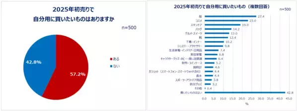 2024年の自分へのご褒美は？クリスマス～年末年始の買い物事情！自分にクリスマスプレゼントを買う人は7割以上！クリスマス・初売りともに「コスメ」「服」「スキンケア」が上位。初売りでは自分用に買い物する人約6割。福袋は4人に1人が購入。商品を“購入する先”も吟味する人約8割！レビューを見て購入意向が変わることも