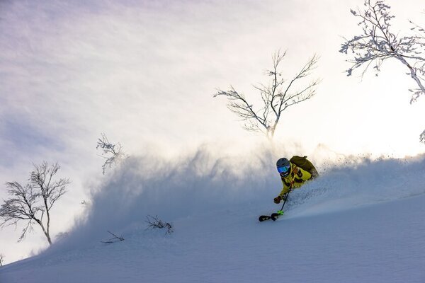 新潟・妙高　アライマウンテンリゾート　2024-2025シーズンの営業を12月14日(土)より開始！