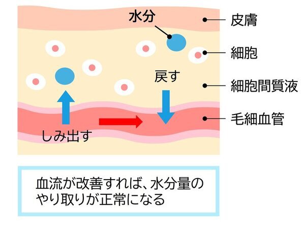 実はそれ、冬太りではなくカラダの「むくみ」かも　カラダの「めぐり」不足による冬の体重増加には要注意！　石原新菜先生へのインタビュー記事を公開　