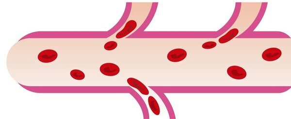 実はそれ、冬太りではなくカラダの「むくみ」かも　カラダの「めぐり」不足による冬の体重増加には要注意！　石原新菜先生へのインタビュー記事を公開　